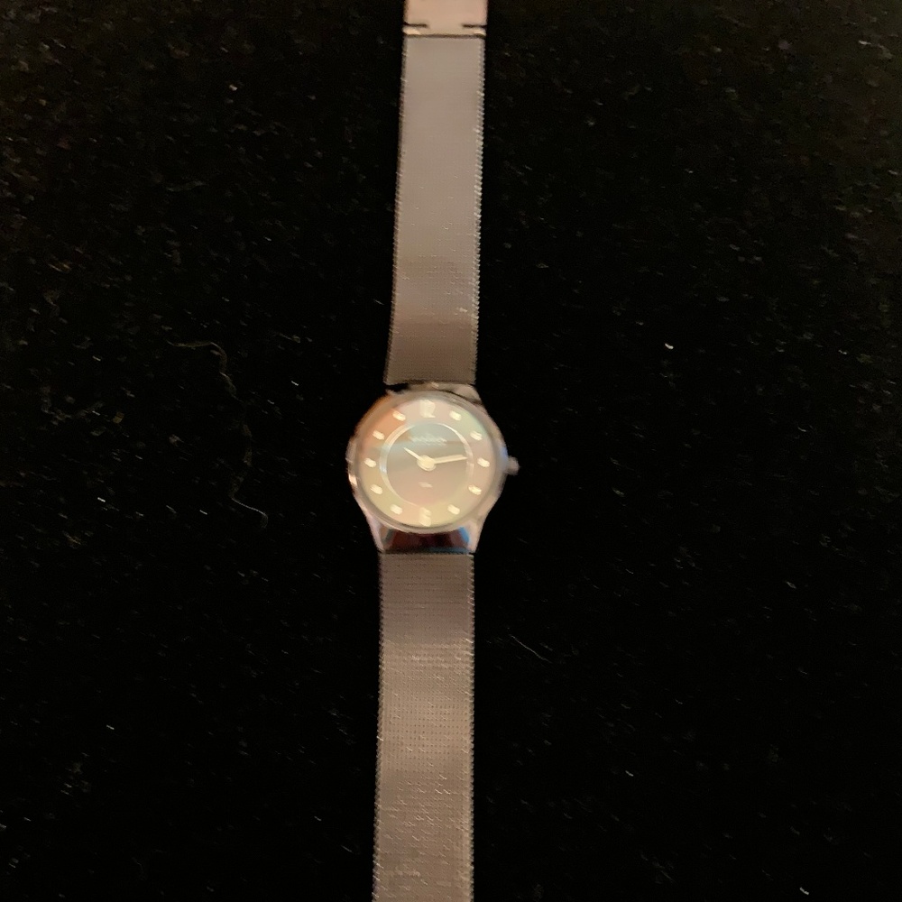 Skagen Watch